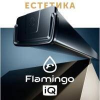 Flamingo IQ